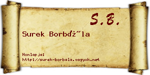 Surek Borbála névjegykártya